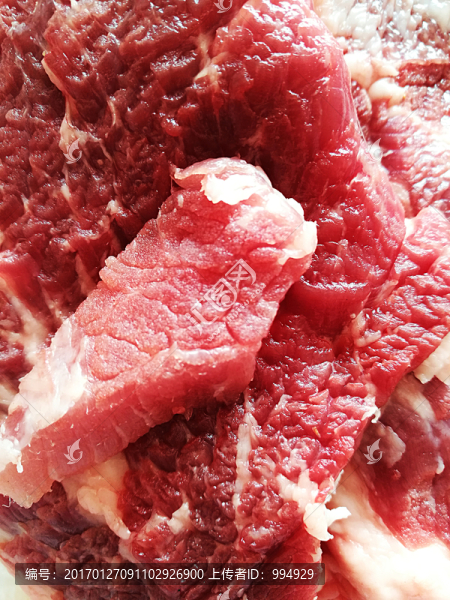 新鮮豬肉