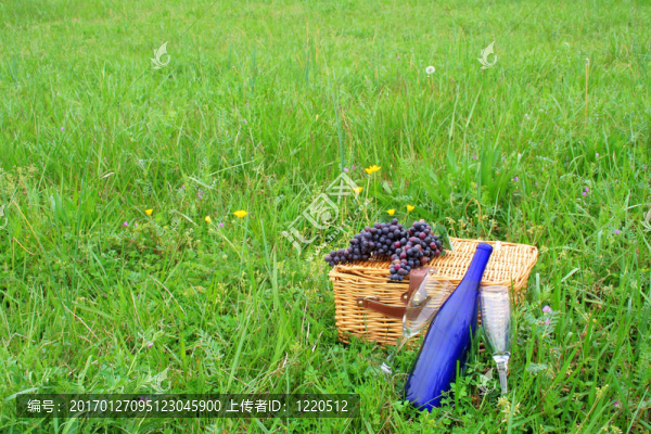 Pic,Nic,Basket和酒