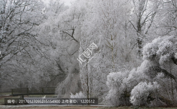 白色圣誕節(jié)2