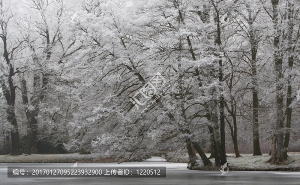 白色的圣誕節(jié)-匯圖網(wǎng) www.fosd68.com 白色的圣誕節(jié)