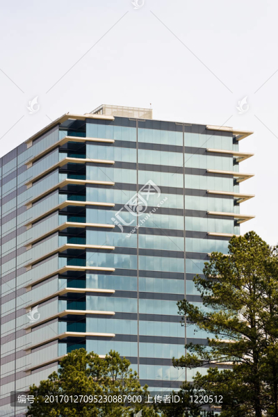 藍(lán)色玻璃建筑過去松樹