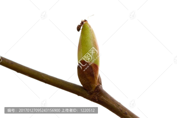 高能量的3