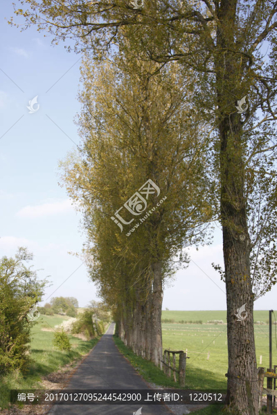 德國的鄉(xiāng)村道路