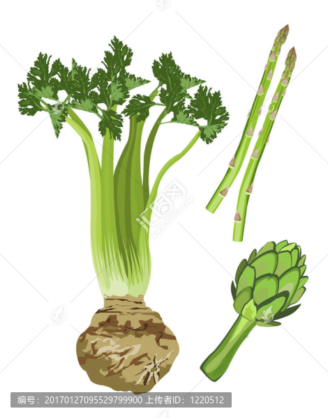 綠色蔬菜