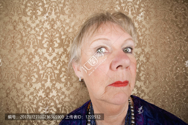 傲慢的老婦人-匯圖網(wǎng) www.fosd68.com 傲慢的老婦人