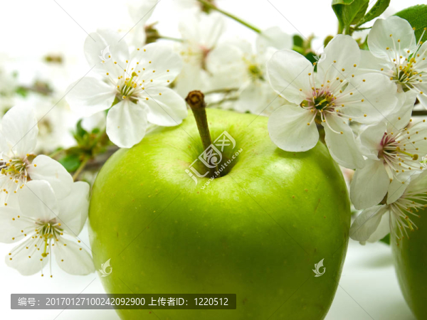 青蘋(píng)果