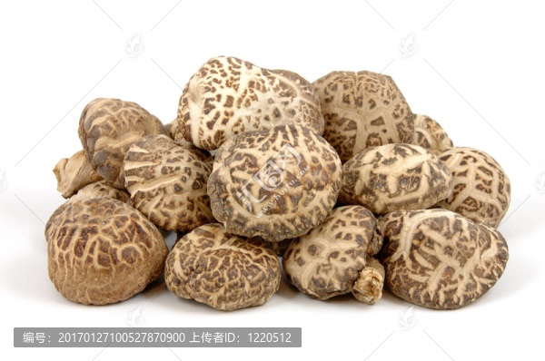 香菇