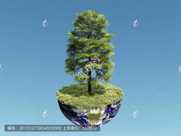 地球上的一棵樹