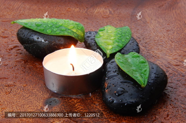 禪觀與石頭和樹葉