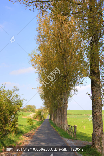 德國的鄉(xiāng)村道路