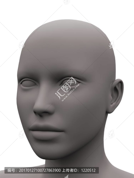 灰色的母頭