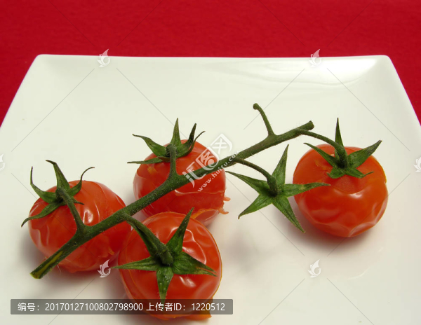 在白盤(pán)子上的樹(shù)枝上蒸葡萄藤