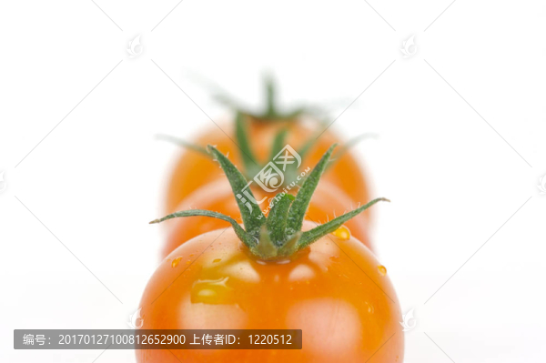 圣女果-匯圖網(wǎng) www.fosd68.com 圣女果