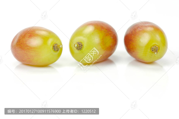 紅葡萄