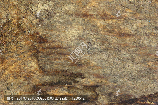 木材紋理-匯圖網(wǎng) www.fosd68.com 木材紋理