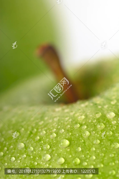 白色背景上的綠色蘋果