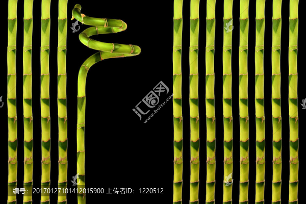 幸運(yùn)草草-匯圖網(wǎng) www.fosd68.com 幸運(yùn)草草