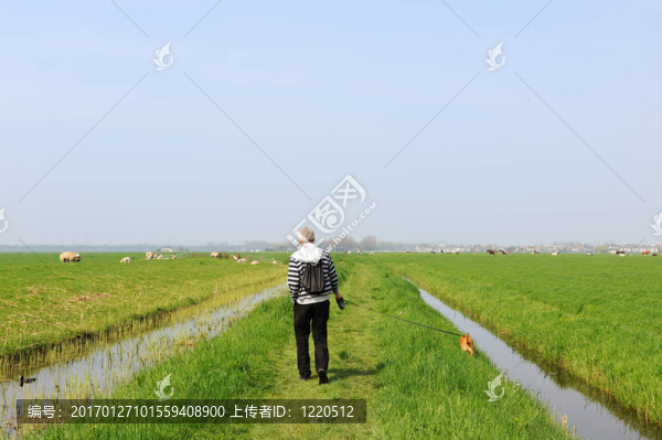 在大自然中散步
