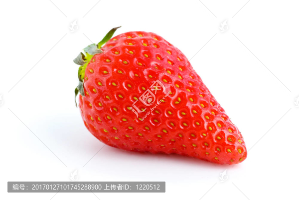 單熟紅草莓