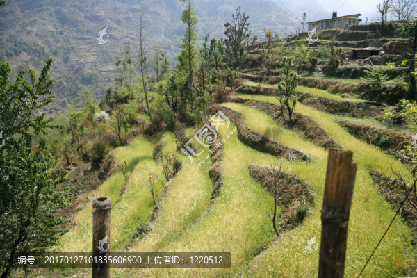 領(lǐng)域-匯圖網(wǎng) www.fosd68.com 領(lǐng)域