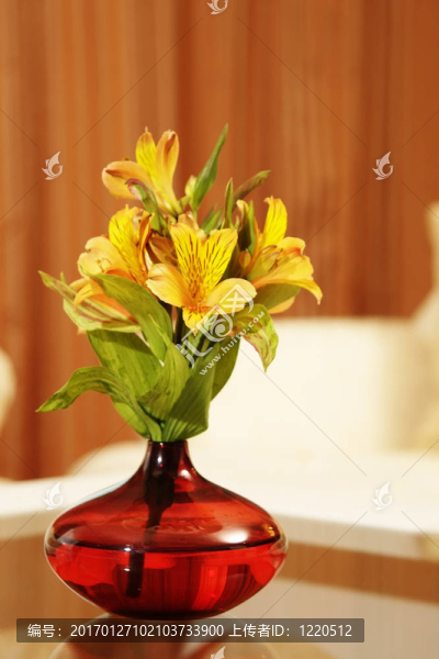 花瓶里的花