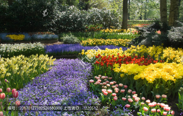 春天盛開的公園
