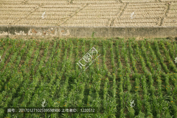 領(lǐng)域