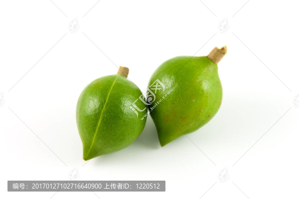 兩夏威夷果
