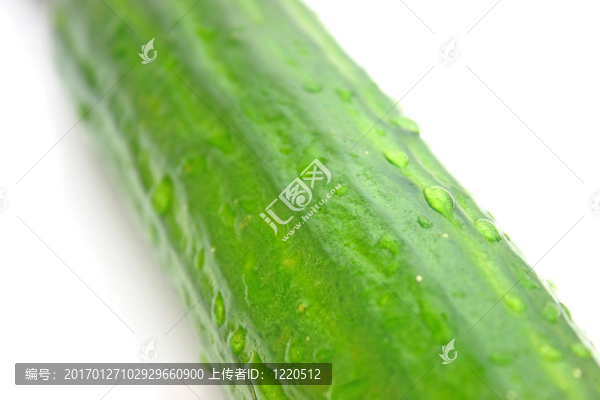 黃瓜