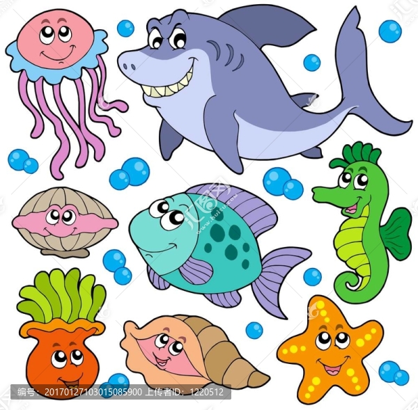 水生動物的采集