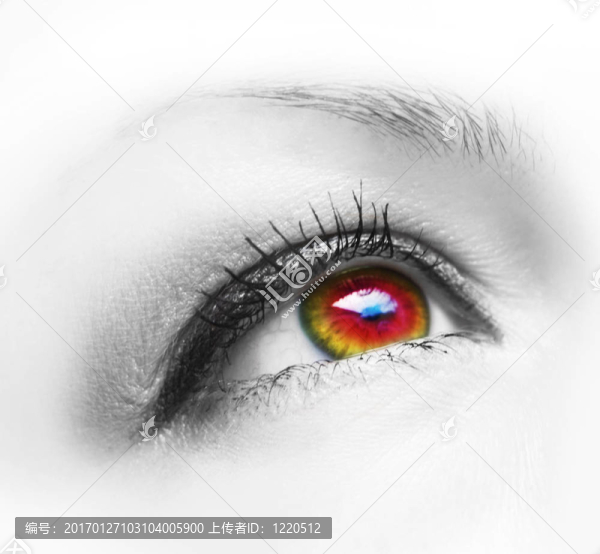 眼睛-匯圖網(wǎng) www.fosd68.com 眼睛