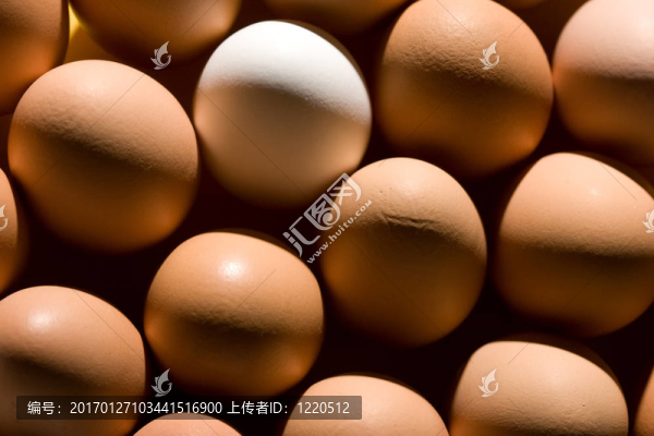 雞蛋