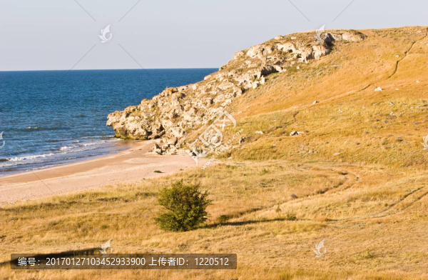 海灘