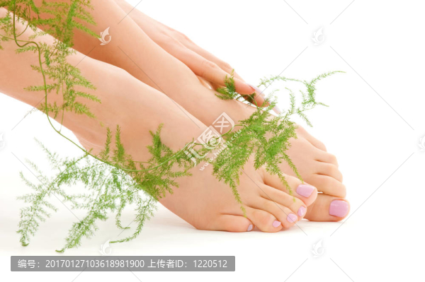女腳與綠色植物