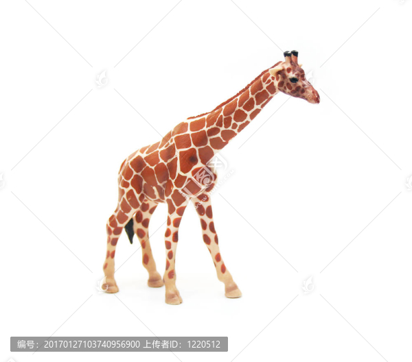 孤立Toy,Giraffe
