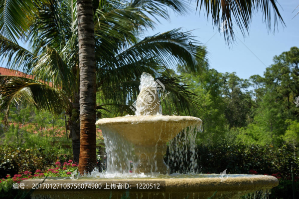 水從頂部簡單爆發(fā)熱帶噴泉