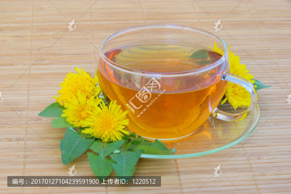 蒲公英茶04