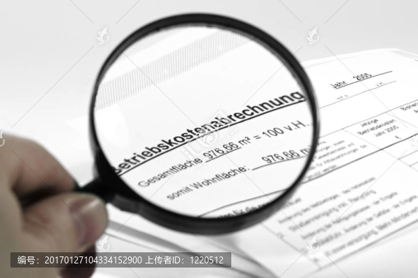 德國(guó)用放大鏡放大操作成本清單
