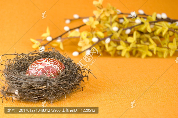 帶復(fù)活節(jié)蛋的巢