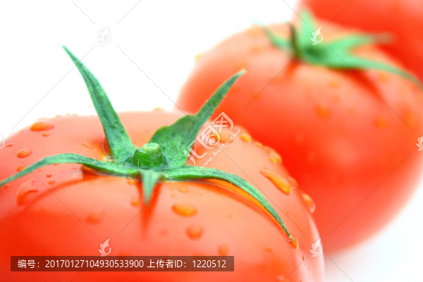 西紅柿