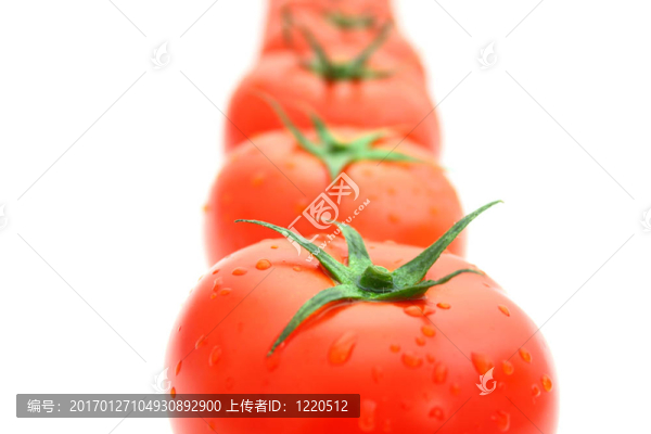 西紅柿