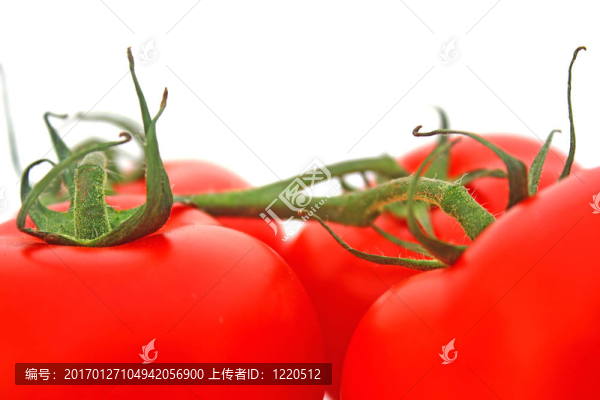 西紅柿