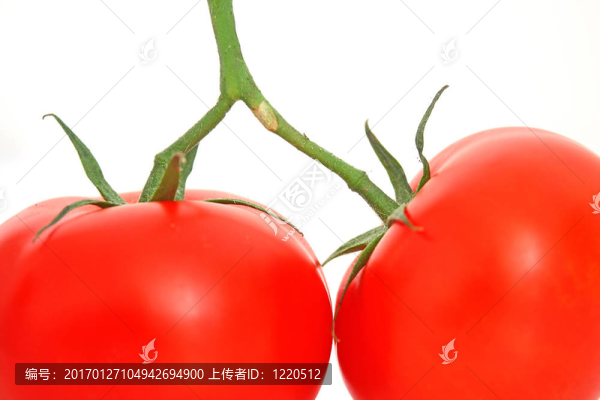 西紅柿