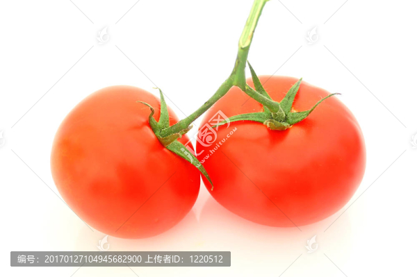 西紅柿