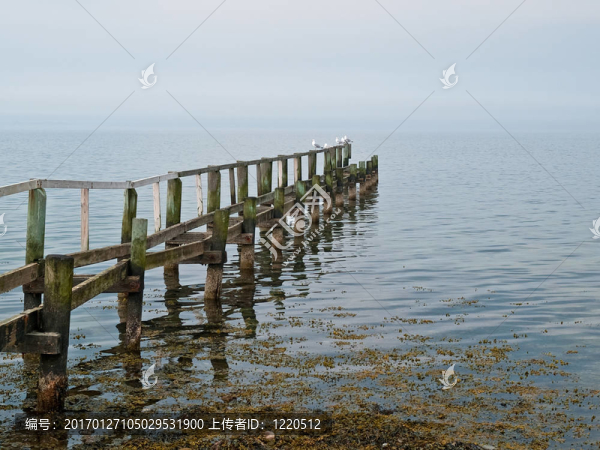 美麗的海景的木制天橋