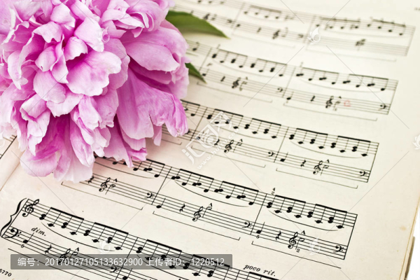 樂譜-匯圖網(wǎng) www.fosd68.com 樂譜