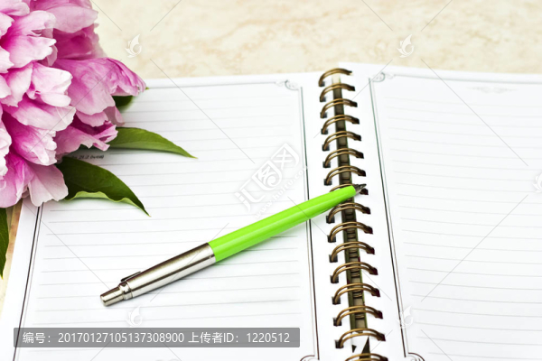 帶筆的開放式書