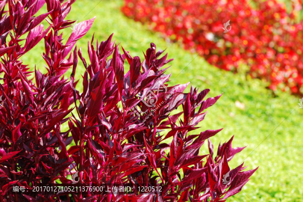 秋天的顏色-匯圖網(wǎng) www.fosd68.com 秋天的顏色