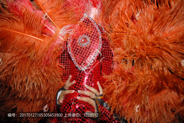 紅色羽毛的狂歡節(jié)服裝