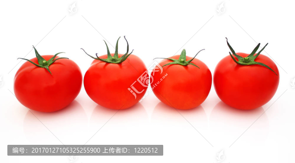 西紅柿